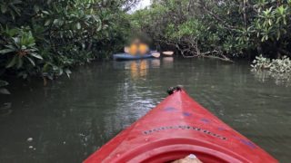 マングローブカヌー体験ツアー